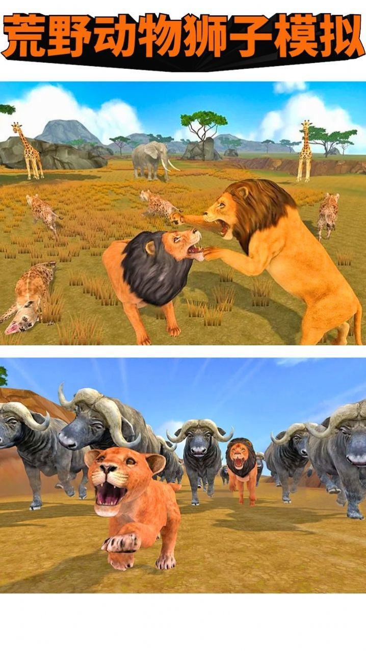 荒野动物狮子模拟截图3
