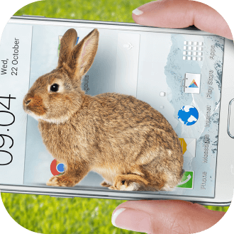 bunny in phone cute joke软件下载