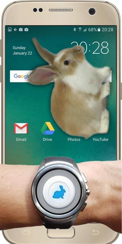 bunny in phone cute joke中文版下载截图3