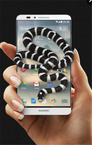微信里养蛇App安卓版截图1