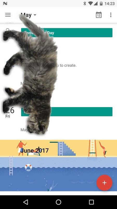 可爱猫动态屏幕软件最新版下载截图1