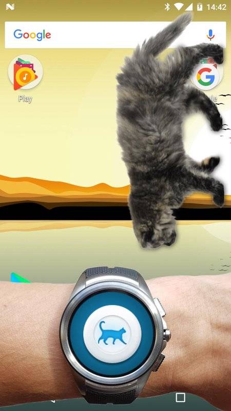 可爱猫动态屏幕软件最新版下载截图2
