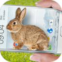 手机上的小兔子玩笑软件手机版