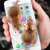 mouse on screen scary joke软件下载