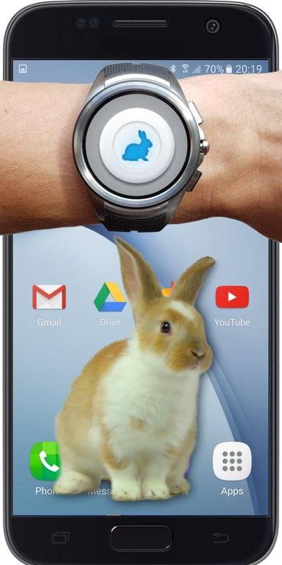 兔子在屏幕上爬下载截图3
