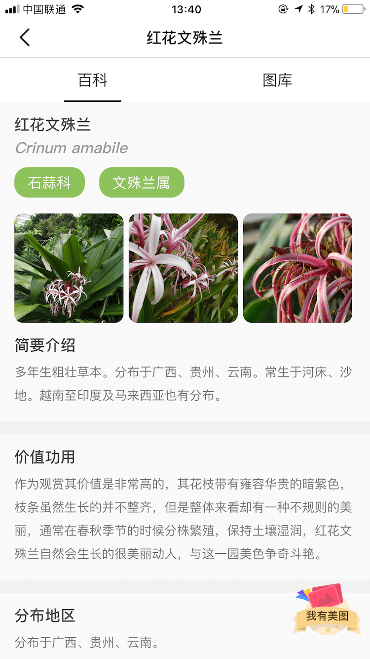 花伴侣截图3