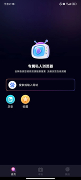 闪速浏览器截图4