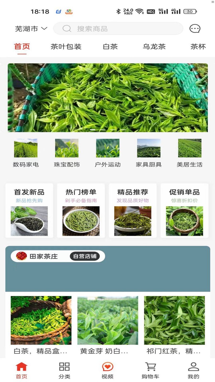 一灯茶网截图1